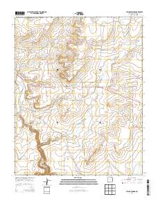 Taylor Springs 2013 topographic map thumbnail