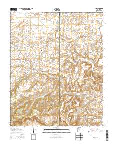 Tinian 2013 topographic map thumbnail