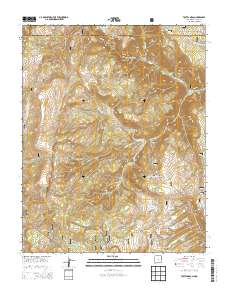 Toltec Mesa 2013 topographic map thumbnail