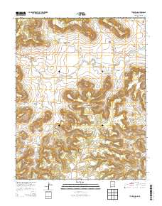 Tub Spring 2013 topographic map thumbnail