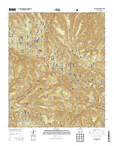 Twin Sisters 2013 topographic map thumbnail