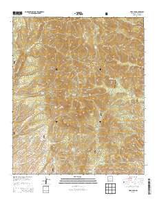 Vicks Peak 2013 topographic map thumbnail