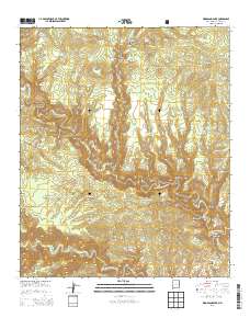 Woodland Park 2013 topographic map thumbnail