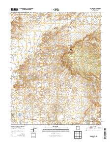 Youngs Lake 2013 topographic map thumbnail