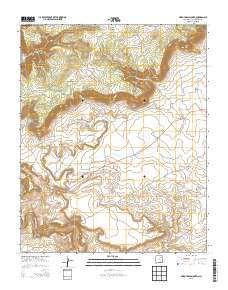 Arroyo Alamocito 2013 topographic map thumbnail