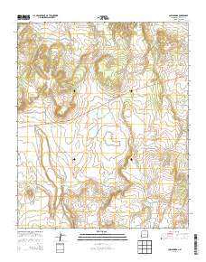 Cow Springs 2013 topographic map thumbnail