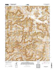 Delgadita Mesa 2013 topographic map thumbnail