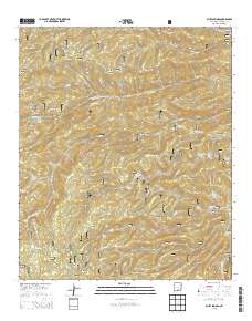 Bluff Springs 2013 topographic map thumbnail