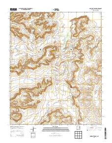 Bookout Ranch 2013 topographic map thumbnail