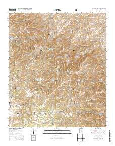 Bullis Spring Ranch 2013 topographic map thumbnail