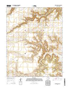 Fiddler Springs 2013 topographic map thumbnail