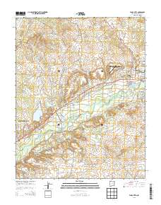 Flora Vista 2013 topographic map thumbnail