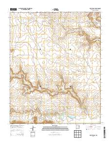 Four V Ranch 2013 topographic map thumbnail