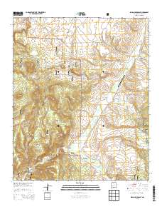 Indian Peaks East 2013 topographic map thumbnail