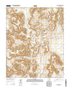 Medina Mesa 2013 topographic map thumbnail