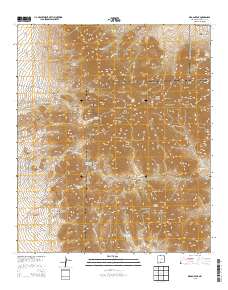 Organ Peak 2013 topographic map thumbnail