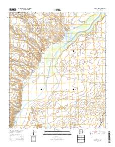 Paraje Well 2013 topographic map thumbnail
