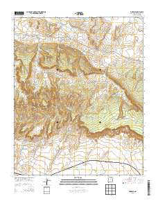 Pinedale 2013 topographic map thumbnail