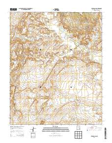 Puerco Dam 2013 topographic map thumbnail