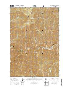 Long Tom Mountain 2013 topographic map thumbnail