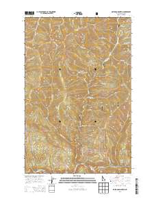 Mastodon Mountain 2013 topographic map thumbnail