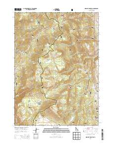 Midnight Mountain 2013 topographic map thumbnail