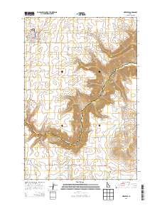 Nezperce 2013 topographic map thumbnail