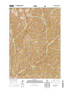 Paradise Peak 2013 topographic map thumbnail