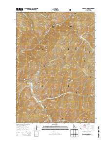 Pine Creek Rapids 2013 topographic map thumbnail