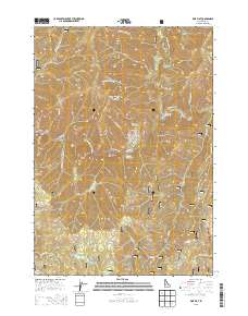Pine Flat 2013 topographic map preview