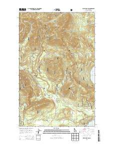 Priest Lake NW 2013 topographic map thumbnail