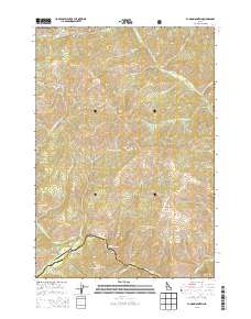 Pungo Mountain 2013 topographic map thumbnail