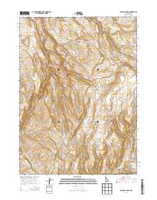 Taylor Canyon 2013 topographic map thumbnail