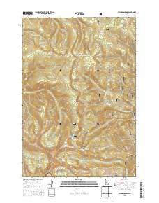 Taylor Mountain 2013 topographic map thumbnail