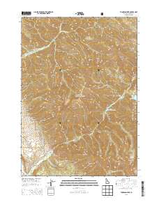 Thompson Peak 2013 topographic map thumbnail