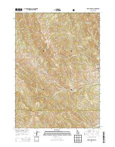 Tincup Mountain 2013 topographic map thumbnail