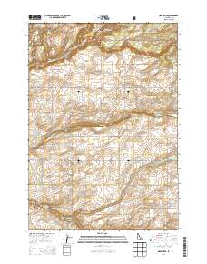 Warm River 2013 topographic map thumbnail