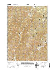 Warm Springs Point 2013 topographic map thumbnail