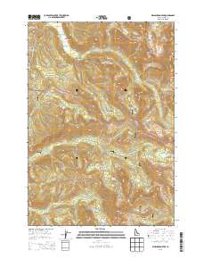 Washington Peak 2013 topographic map thumbnail