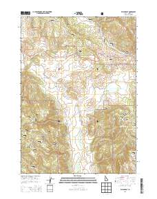 Wayan East 2013 topographic map thumbnail