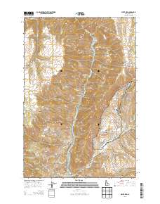 White Bird 2013 topographic map thumbnail
