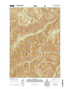 Wild Buck Peak 2013 topographic map thumbnail
