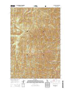Wylies Peak 2013 topographic map thumbnail