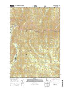 Yellow Pine 2013 topographic map thumbnail