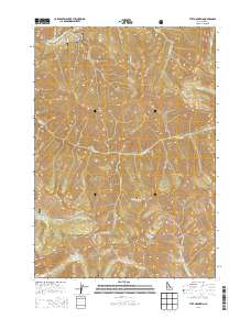 Tyee Mountain 2013 topographic map thumbnail
