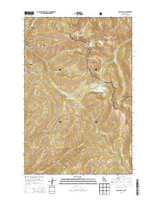 Bruin Hill 2013 topographic map thumbnail