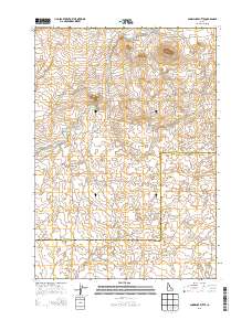 Snowshoe Butte 2013 topographic map thumbnail