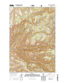 White Bird Hill 2013 topographic map thumbnail