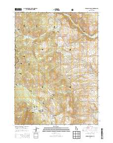 Bear Camp Gulch 2013 topographic map thumbnail