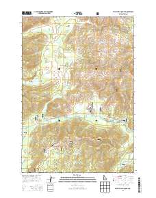 Bear Valley Mountain 2013 topographic map thumbnail